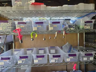 West Coast Jigs, photo 2